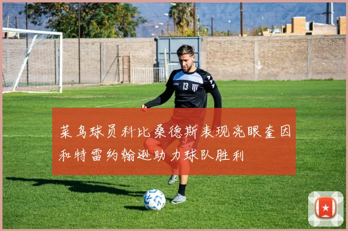菜鸟球员科比桑德斯表现亮眼奎因和特雷约翰逊助力球队胜利