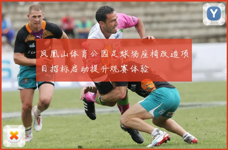 凤凰山体育公园足球场座椅改造项目招标启动提升观赛体验