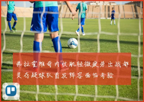 弗拉霍维奇内收肌轻微疲劳出战都灵存疑球队首发阵容面临考验
